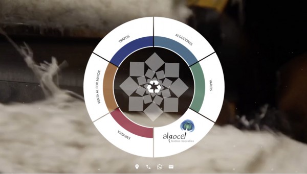 Diseño web a medida para: Algocel. Textiles Renovables - neitmedia